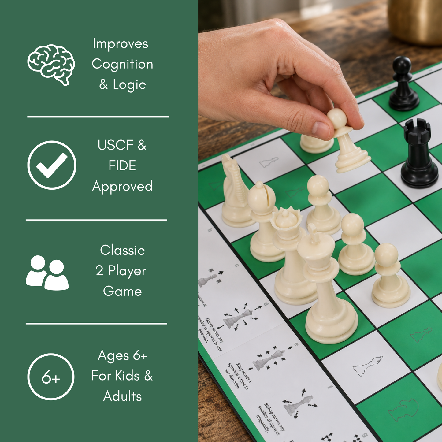 Bobby Fischer Learn to Play Chess