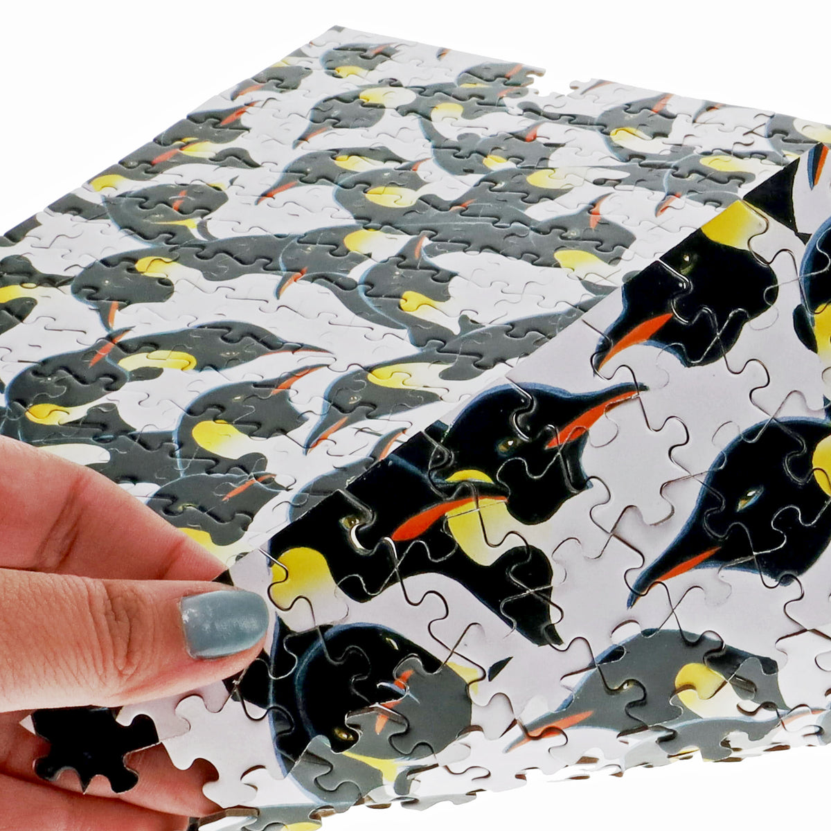 A hand is reaching in the image from the bottom right hand side showing how an assembled puzzle that features many penguins against a white background has the puzzle print on the front and the back for this two-sided puzzle.